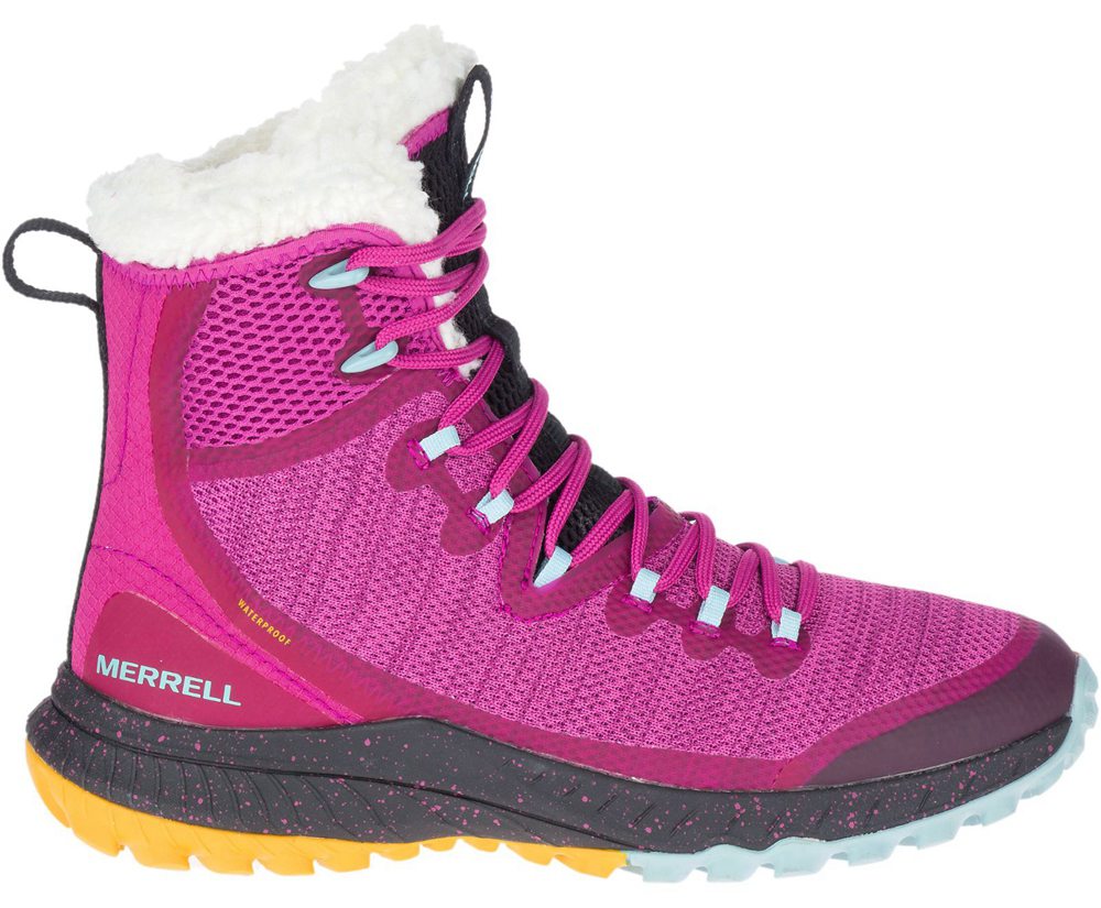 Merrell Boots Pink - Bravada Knit Polar Waterproof - Womens 98JLIVUWD